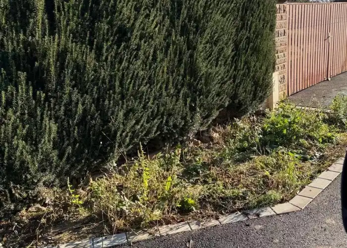 Réalisation